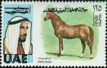 Arab Stallion (Equus ferus caballus) - Overprinted