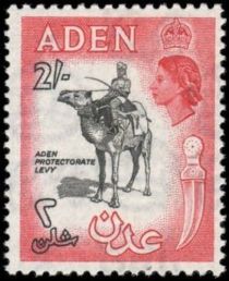 Aden Protectorate Levy, Dromedary (Camelus dromedarius)