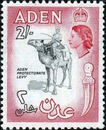 Aden Protectorate Levy, Dromedary (Camelus dromedarius)