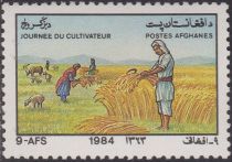 Harvesting Wheat, Sheep (Ovis ammon aries)