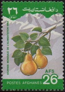 Pears (Pyrus sp.)