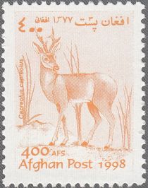 Roe Deer (Capreolus capreolus) (see Desciption)