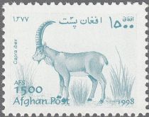 Alpine Ibex (Capra ibex)