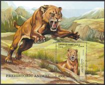 Saber-toothed Tiger (Smilodon sp.)