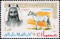 Sheik Rashid and Arabian Horse (Equus ferus caballus)