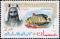 Sheik Rashid and Royal Angelfish (Pygoplites diacanthus)