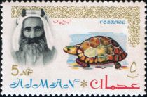 Sheik Rashid and Spur-thighed Tortoise (Testudo graeca)