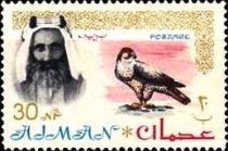 Shaikh Rashid and Lanner Falcon (Falco biarmicus)