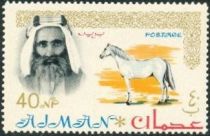 Sheik Rashid and Arabian Horse (Equus ferus caballus)