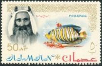 Sheik Rashid and Royal Angelfish (Pygoplites diacanthus)