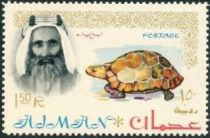 Sheik Rashid and Spur-thighed Tortoise (Testudo graeca)