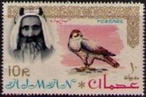 Shaikh Rashid and Lanner Falcon (Falco biarmicus)