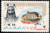 Sheik Rashid and Royal Angelfish (Pygoplites diacanthus)