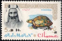 Sheik Rashid and Spur-thighed Tortoise (Testudo graeca)