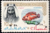 Sheik Rashid and African Jewelfish (Hemichromis bimaculatus)