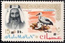 Sheik Rashid and White Stork (Ciconia ciconia)