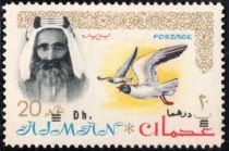 Sheik Rashid, White-eyed Gull (Ichthyaetus leucophthalmus)