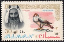 Shaikh Rashid and Lanner Falcon (Falco biarmicus)