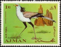 Secretarybird (Sagittarius serpentarius)