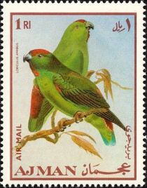 Moluccan Hanging Parrot (Loriculus amabilis)