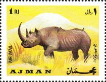 Black Rhinoceros (Diceros bicornis)