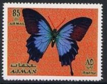 Ulysses Butterfly (Papilio ulysses)