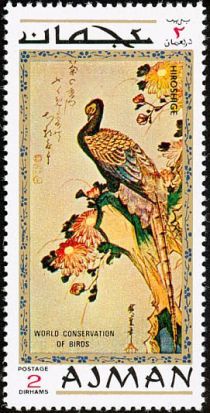 Common Pheasant (Phasianus colchicus)