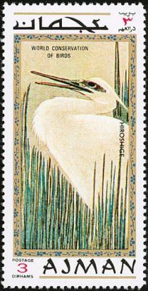 Little Egret (Egretta garzetta)