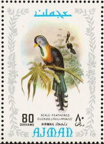 Scale-feathered Cuckoo (Dasylophus cumingi)