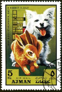 "Otvazhnaya" (Canis lupus familiaris) and Rabbit (Oryctolagu