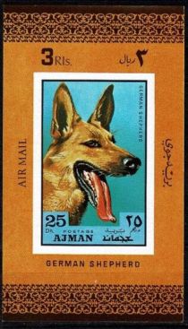 German Shepherd (Canis lupus familiaris)