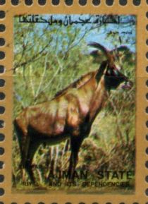 Roan Antelope (Hippotragus equinus)