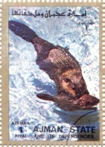 Eurasian Otter (Lutra lutra)