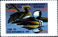 Hooded merganser (Lophodytes cucullatus)