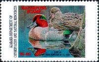 Green-winged teal (Anas carolinensis)