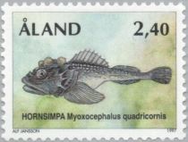 Fourhorn Sculpin (Myoxocephalus quadricornis)