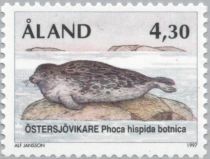 Baltic Ringed Seal (Phoca hispida botnica)