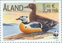 WWF - Steller's Eider (Polysticta stelleri)