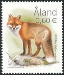 Red Fox (Vulpes vulpes)