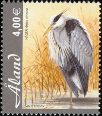 Grey Heron (Ardea cinerea)