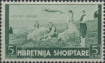 Sheep (Ovis ammon aries), Shepherds