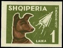 Space Dog Laika (Canis lupus familiaris), Sputnik 2