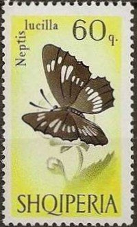 Hungarian Glider (Neptis rivularis)