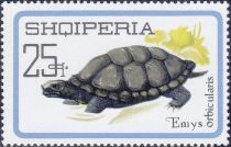 European Pond Turtle (Emys orbicularis)