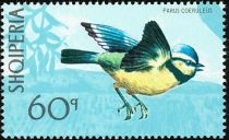 Eurasian Blue Tit (Cyanistes caeruleus)