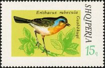 European Robin (Erithacus rubecula)