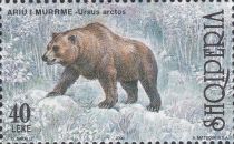 Brown Bear (Ursus arctos)