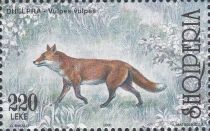 Red Fox (Vulpes vulpes)