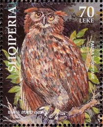 Eurasian Eagle-Owl (Bubo bubo)