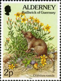 Greater White-toothed Shrew (Crocidura russula), Flax-leav..